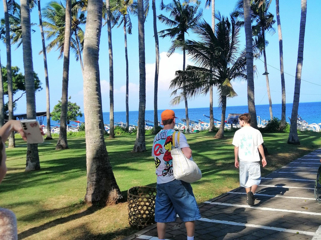 Bli Gojink Bali Professional Bali Driver景点图片