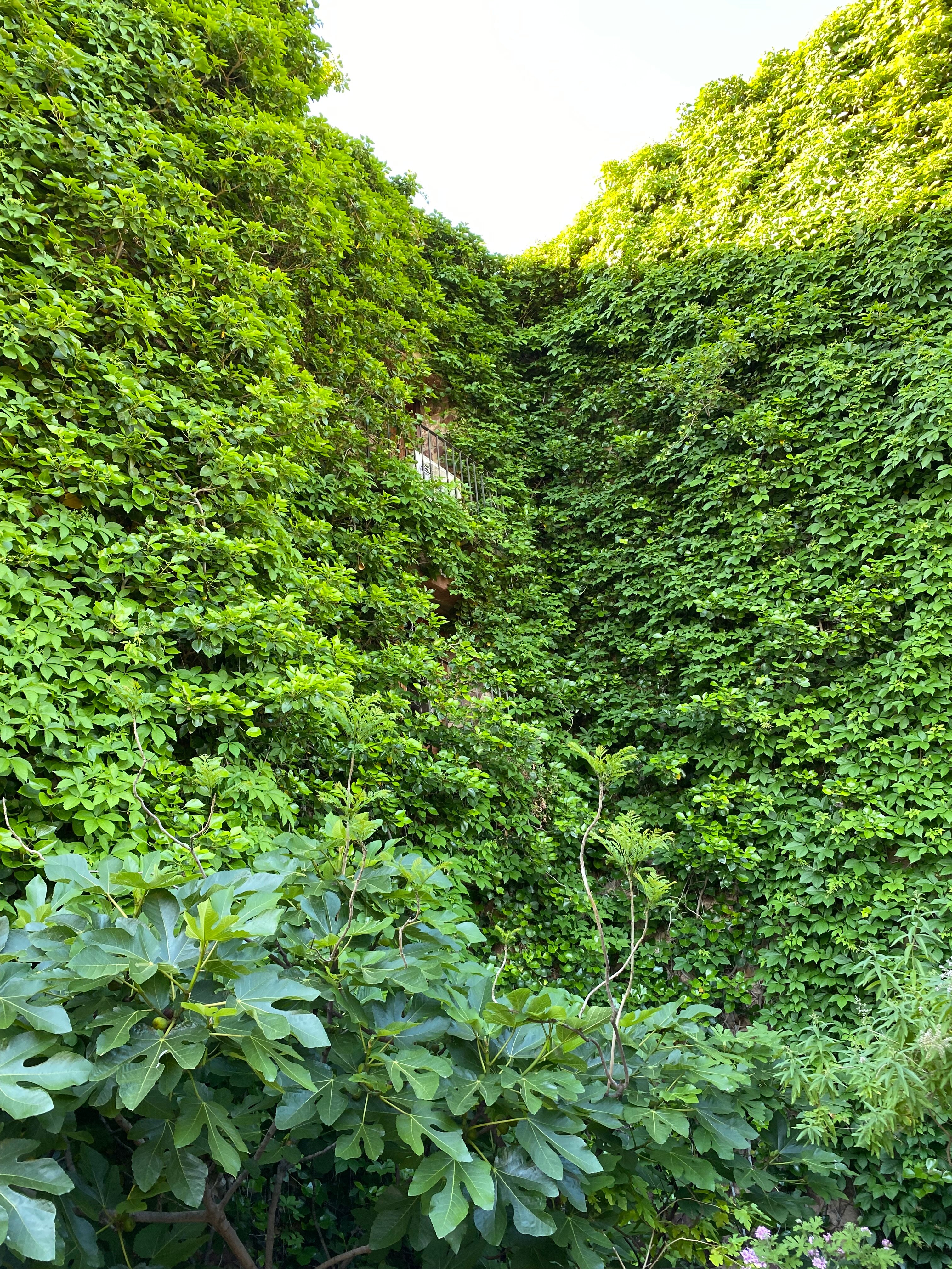 Hotel El Jardin Vertical-官方