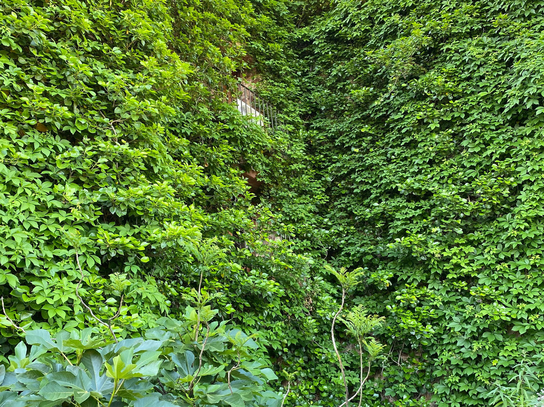 Hotel El Jardin Vertical主图