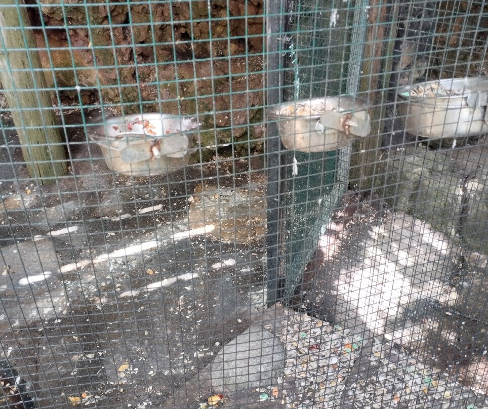 Maroparque Isla de La Palma景点图片