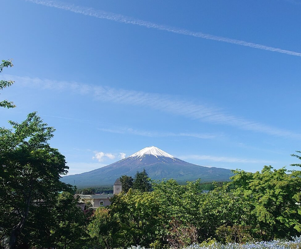 Herb Garden Tabinikki Fujikawaguchiko Garden