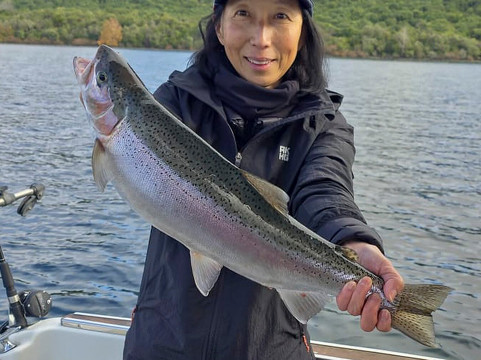 Fish Taupo-陶波必去景点