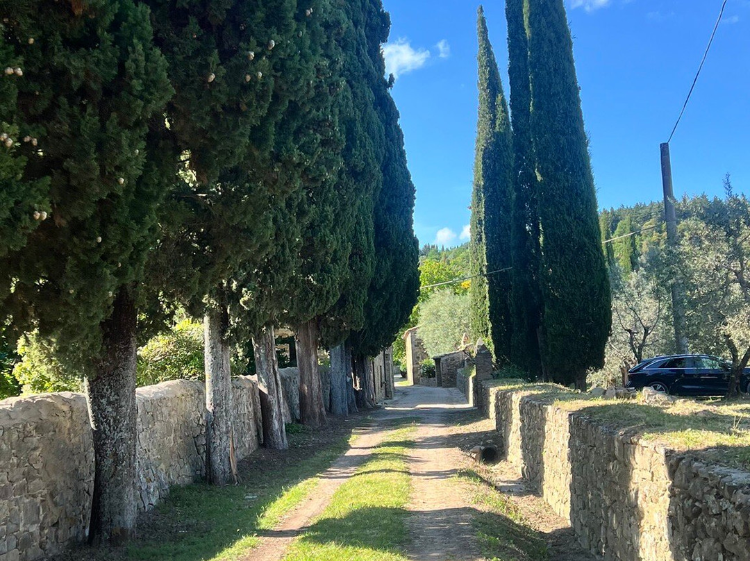 Agriturismo Borgo Villa a Tolli主图