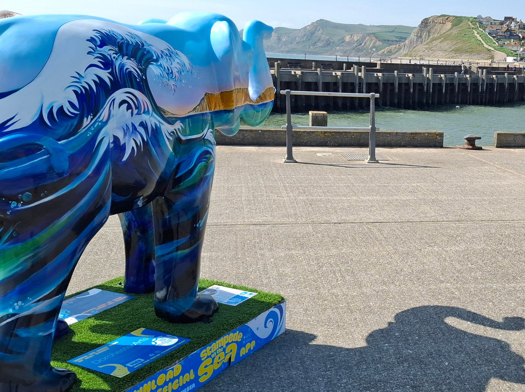 West Bay East Pier-West Bay必去景点