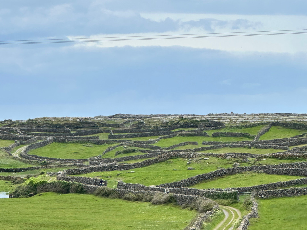 Failte Bus Tour-Inishmore必去景点