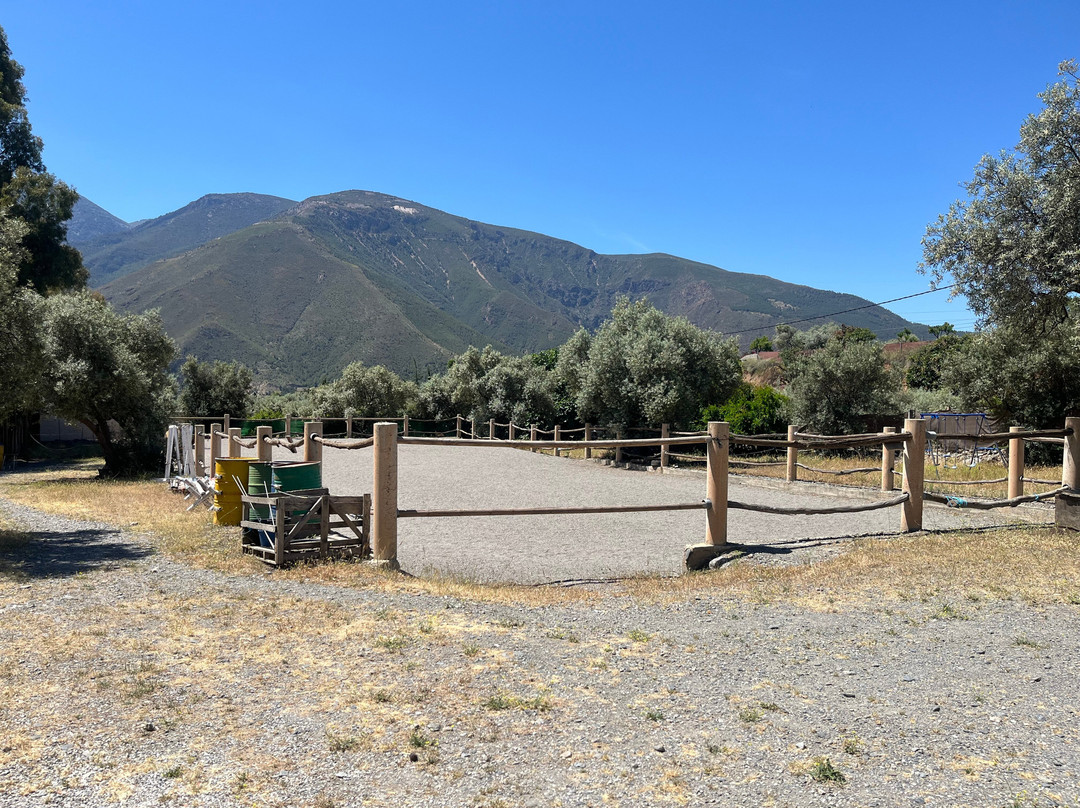 Pegasus Riding Centre-Orgiva必去景点