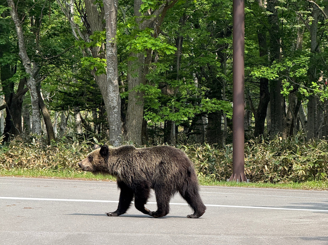 Okhotsk Jinendo-网走市必去景点