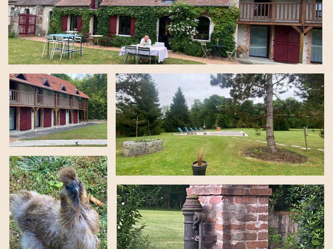 Domaine De Montizeau主图