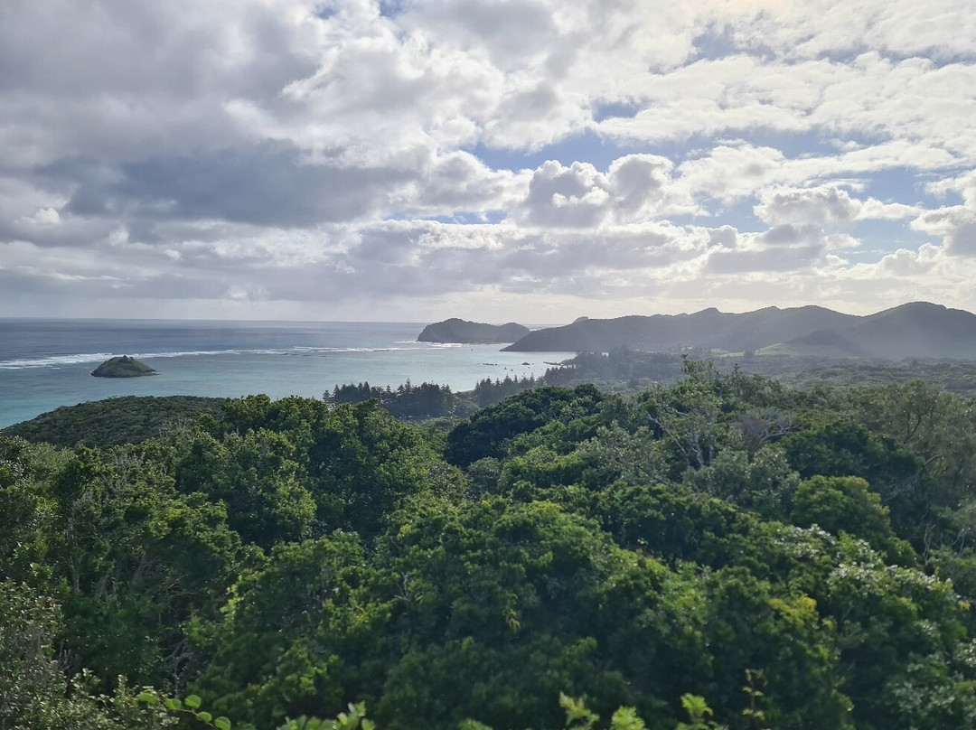 Leanda-Lei Apartments主图