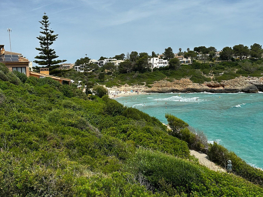 Mallorca Private Tour Guides - Day Tours-马洛卡帕尔马必去景点