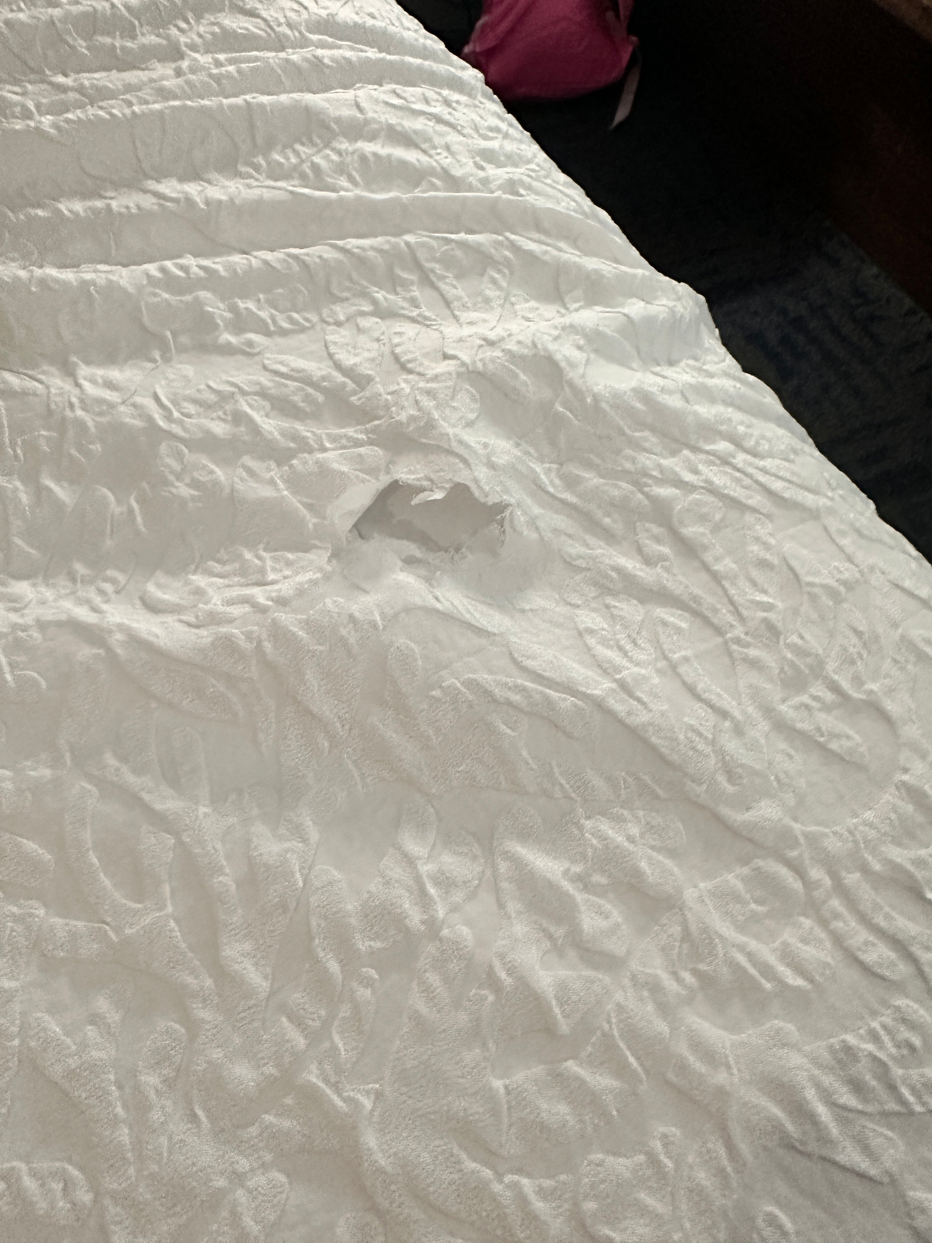 Hampton Inn & Suites Houston Sugar Land-官方