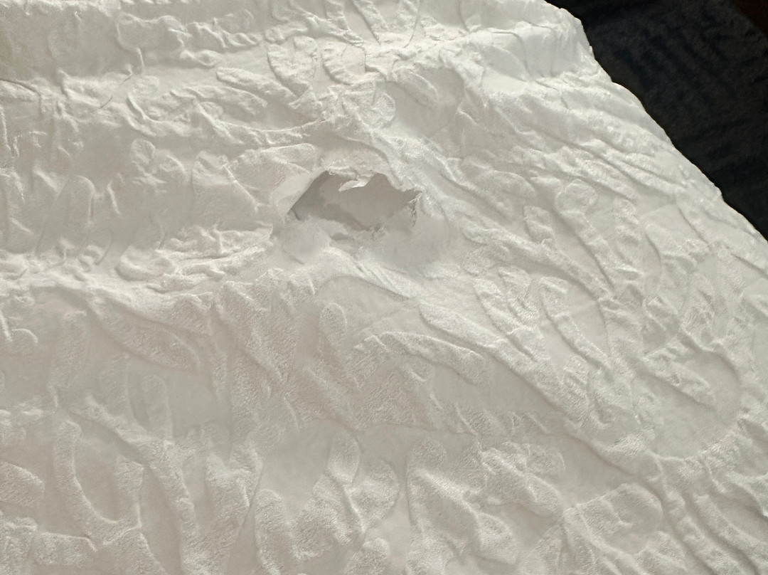 Hampton Inn & Suites Houston Sugar Land主图