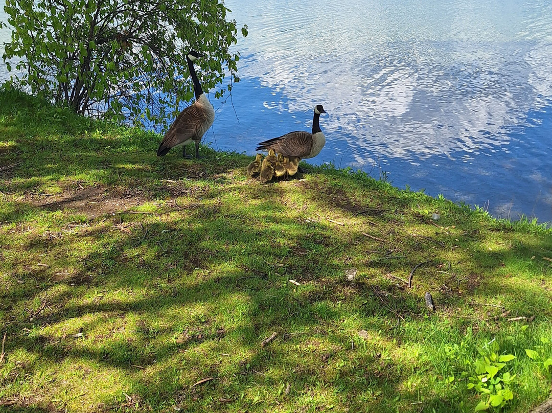 Tudhope Park景点图片
