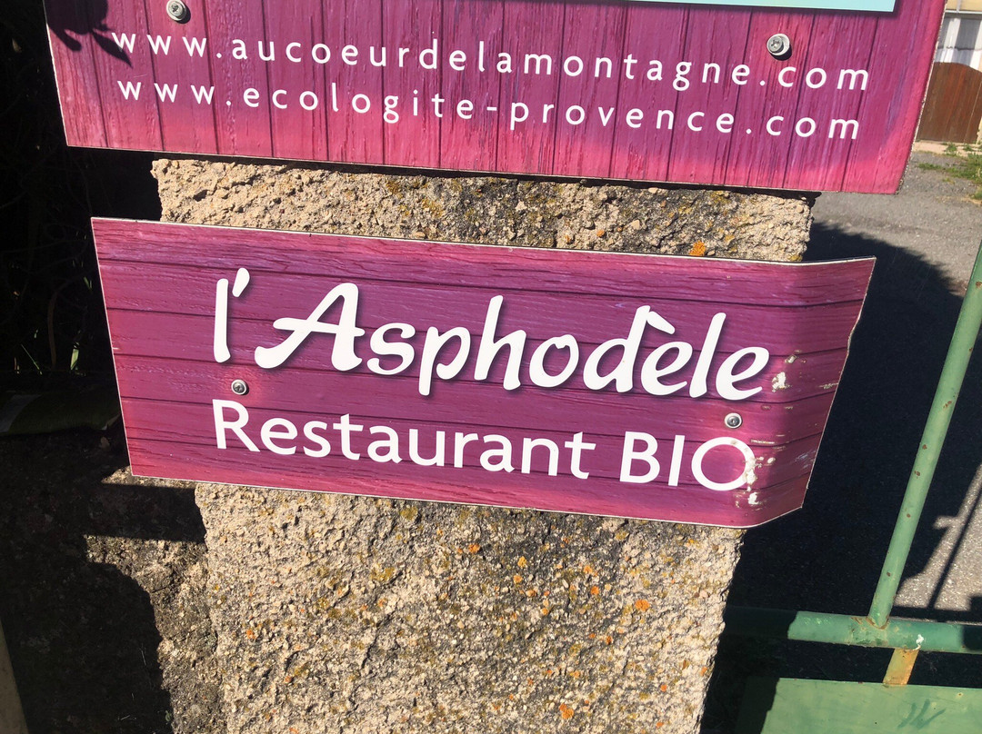 L'Asphodele主图