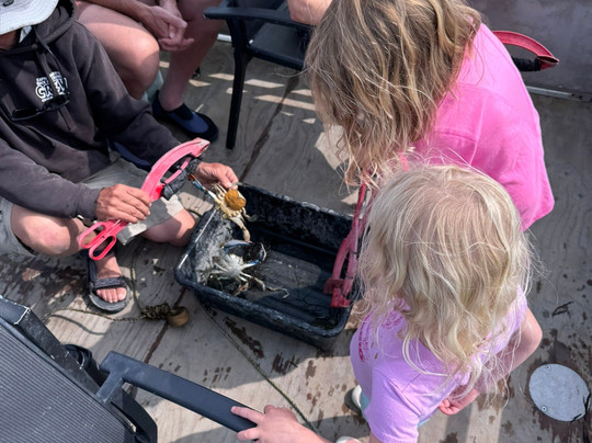 Captain Barry's BackBay Cruises-钦科蒂格岛必去景点