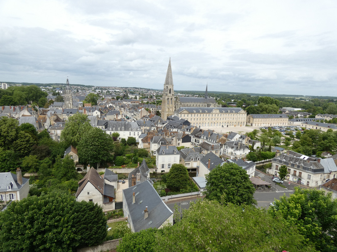 Château de Vendôme景点图片