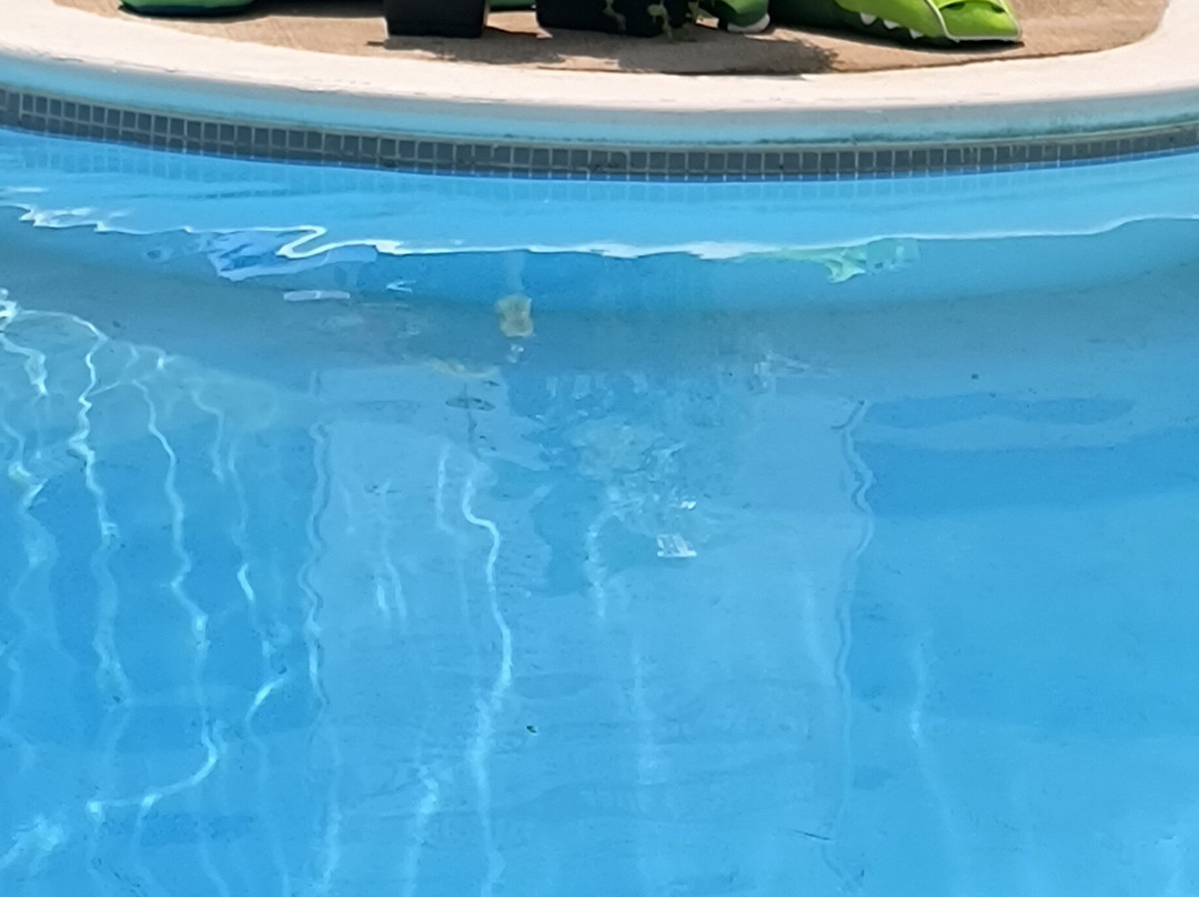 罗德蒙克顿酒店主图