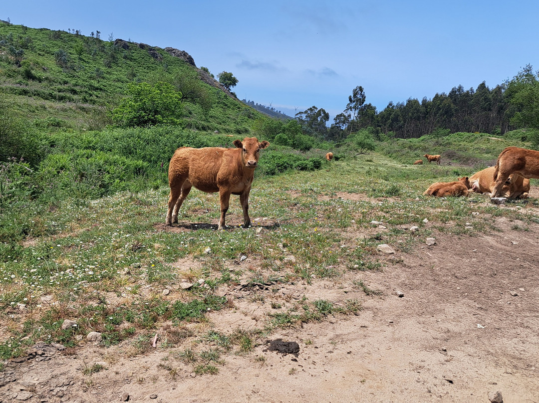 QuadsExperience-Monchique必去景点