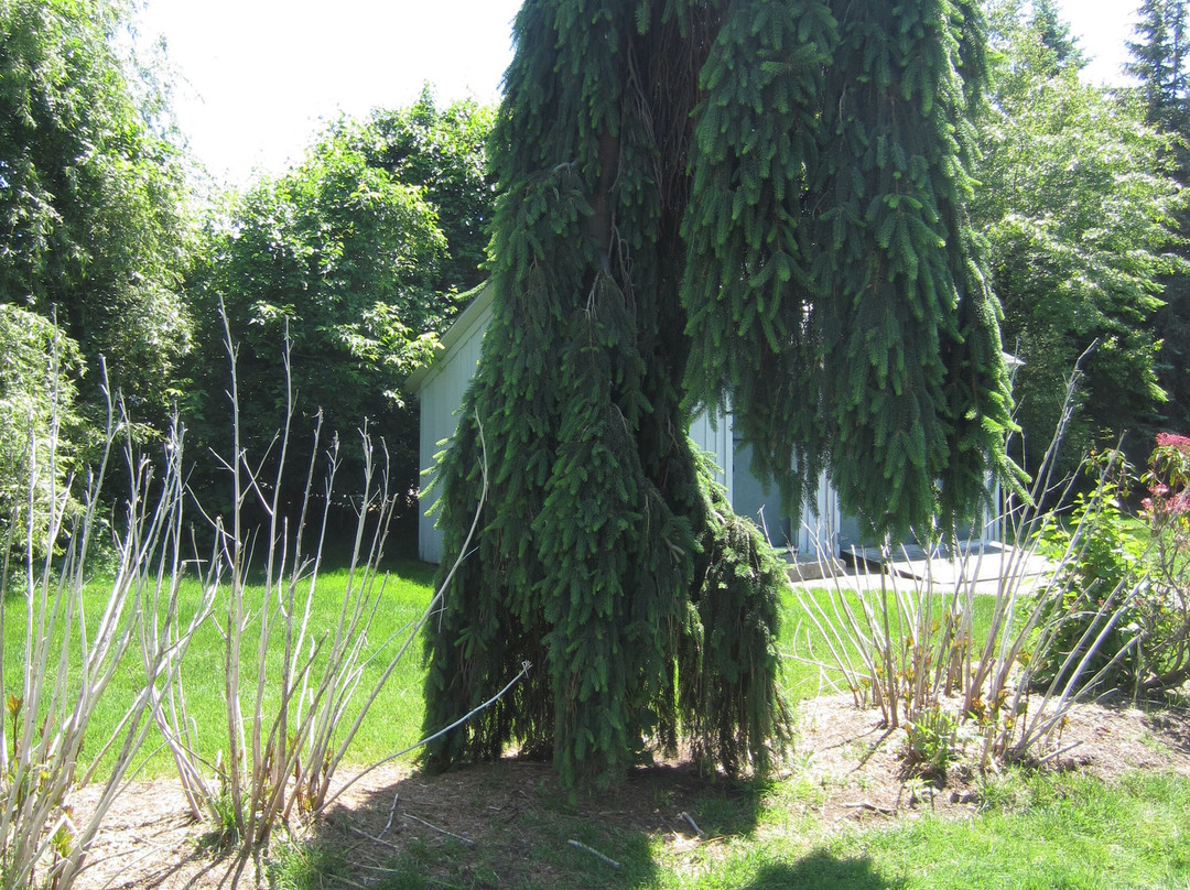 Brewster Gardens-普利茅斯必去景点