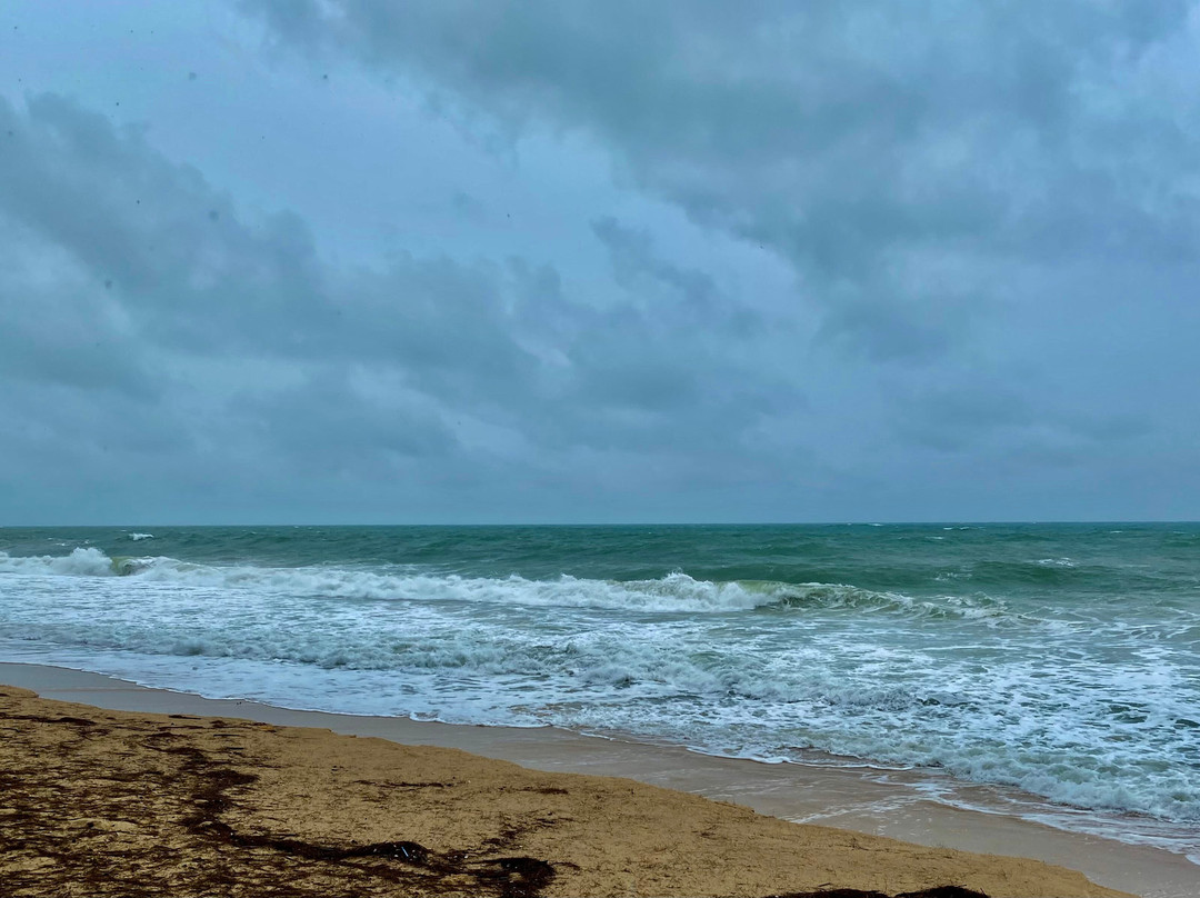 Wat Tha Sai (Wat Tesdhammanava)-泰曼必去景点