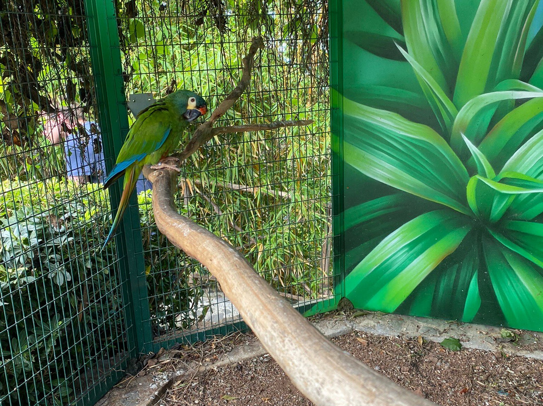 Ilha das Aves-Campanario必去景点