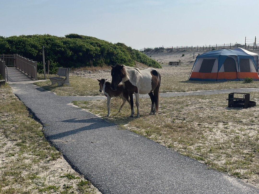 Assateague State Park-Berlin必去景点