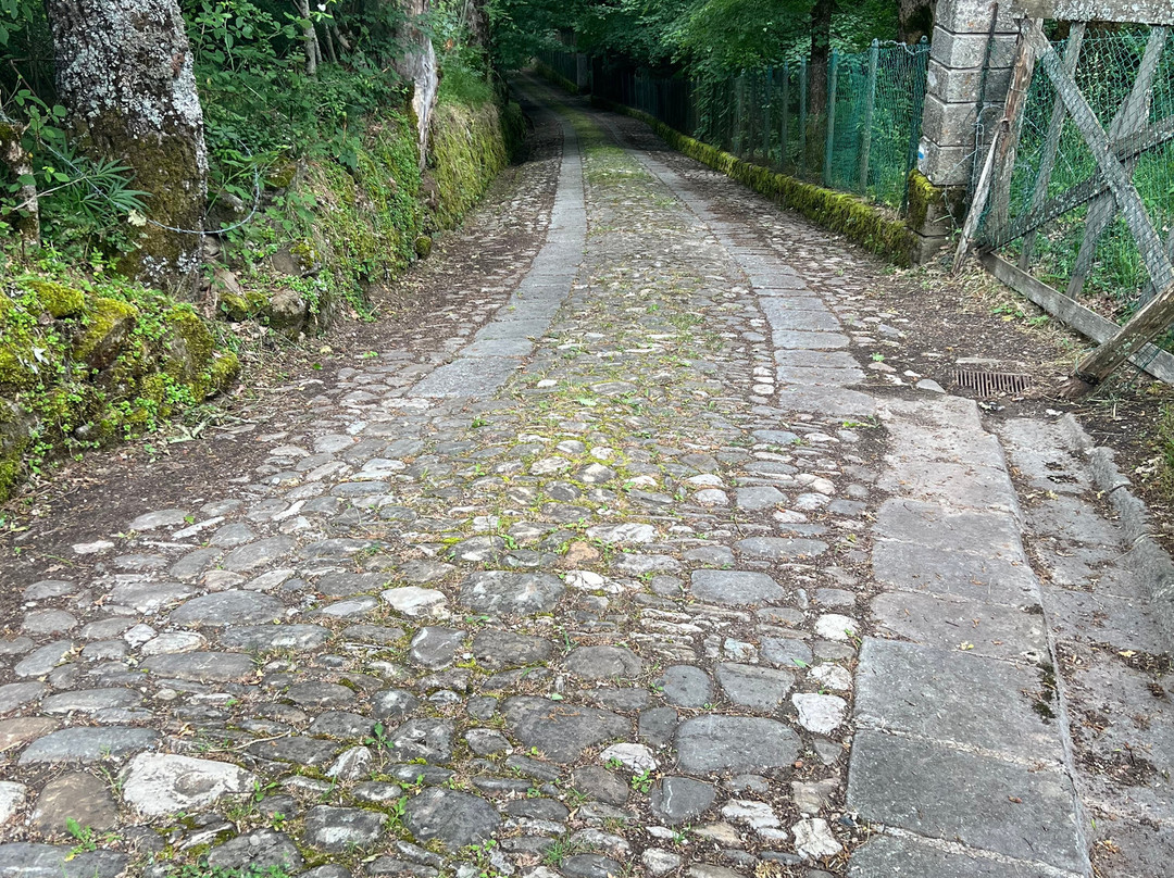 Capanne Celtiche-Pievepelago必去景点