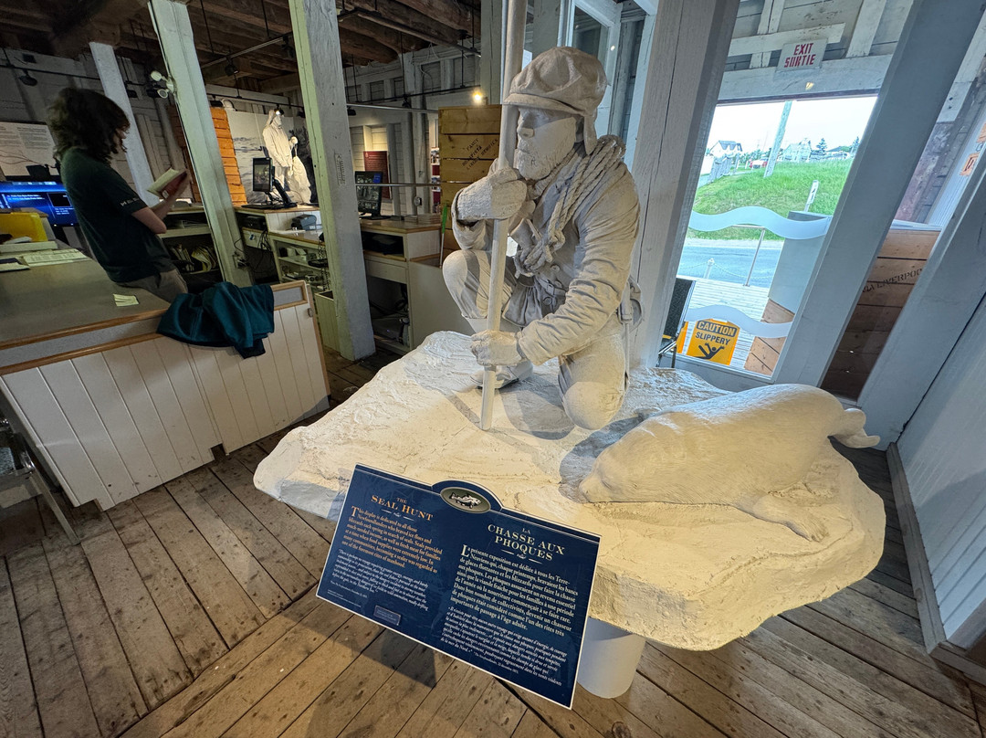 Ryan Premises National Historic Site-Bonavista必去景点