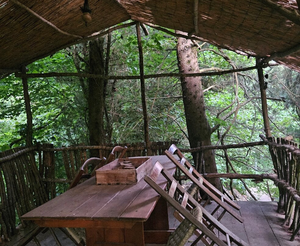 Agriturismo Torre Morgana主图