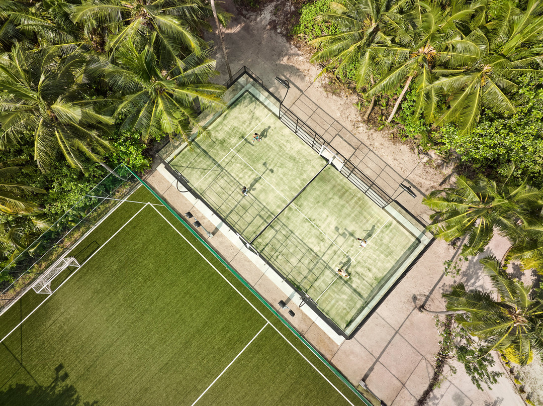 Robinson Noonu主图