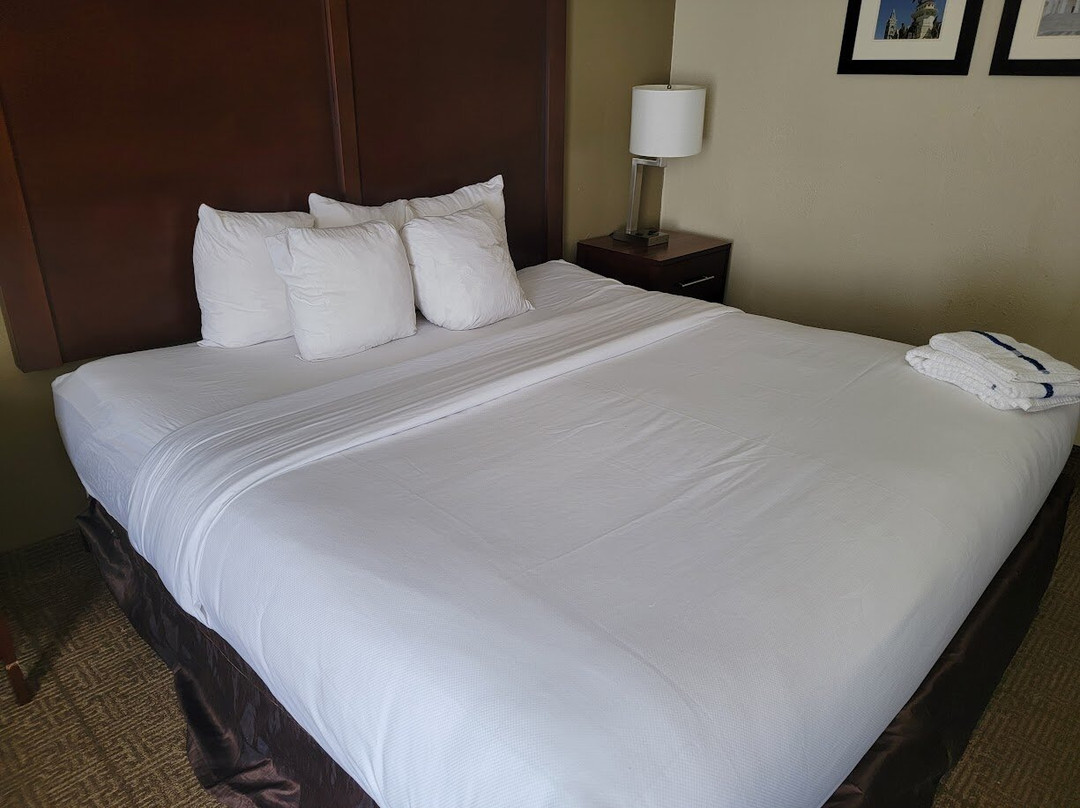 Comfort Inn Chester - Richmond South主图