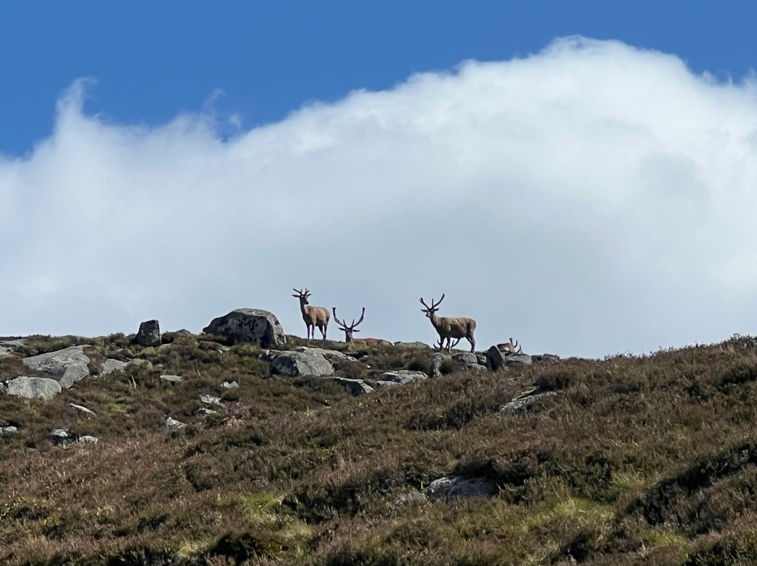 Loch Muick-巴拉特必去景点