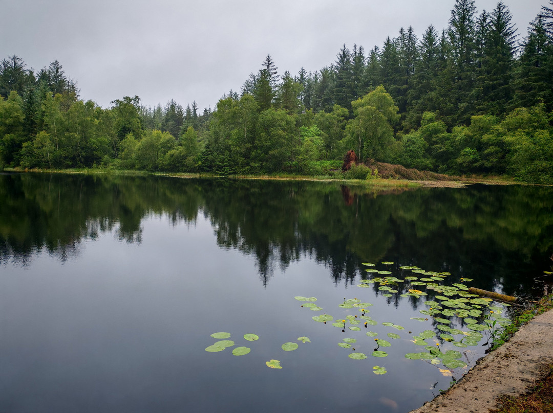 Kirroughtree - 7stanes-Newton Stewart必去景点