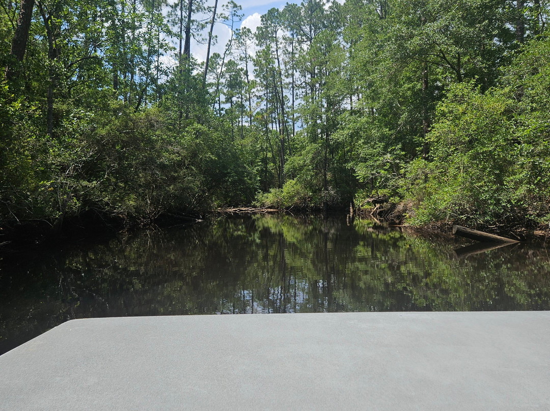 Airboat Adventure-巴拿马城海滩必去景点