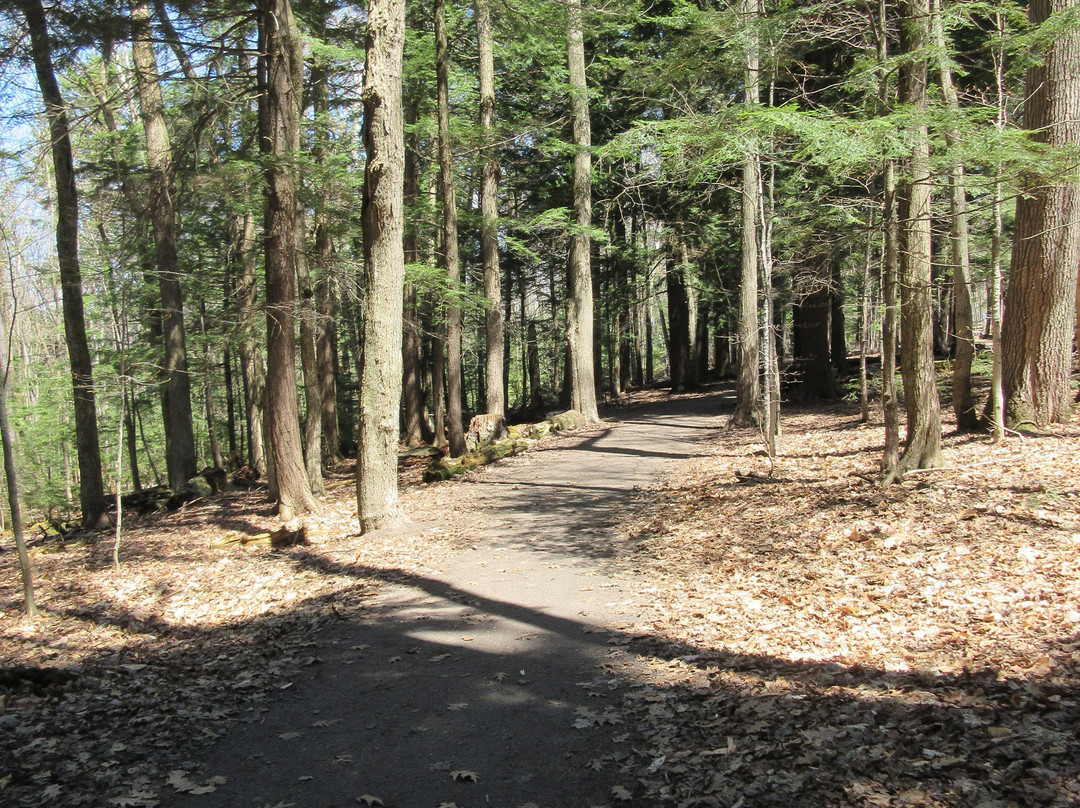 Lake St. Augustin Waterfront Park-St Augustin de Desmaures必去景点