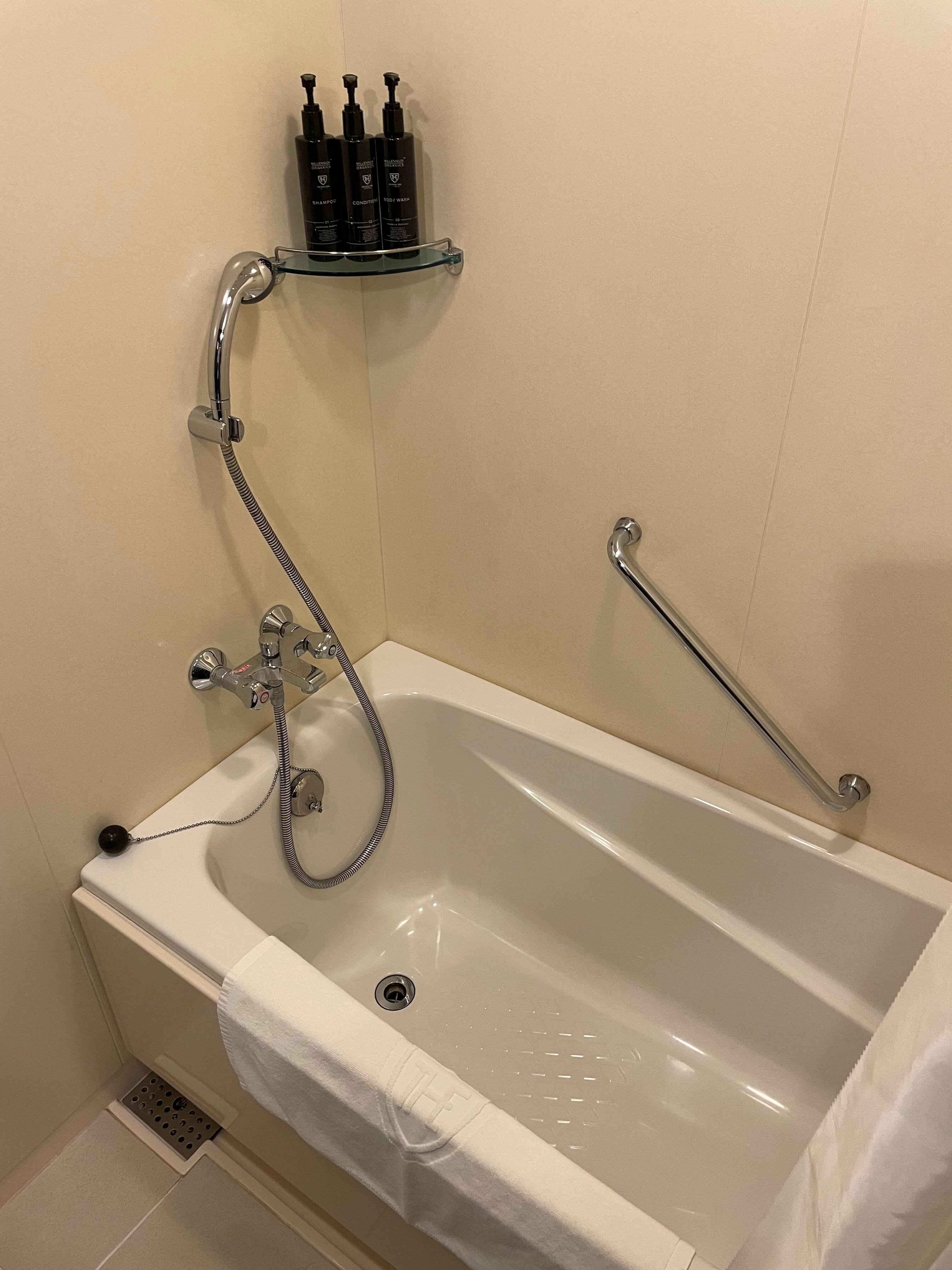 THE 皇家花园酒店 ICONIC 东京汐留-浴室