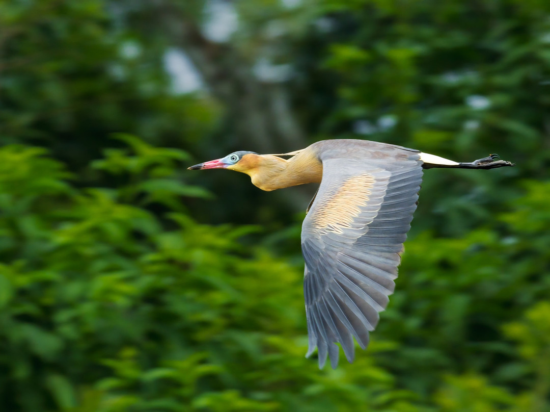 San Jorge Eco-lodges & Private Reserves in Ecuador-基多必去景点