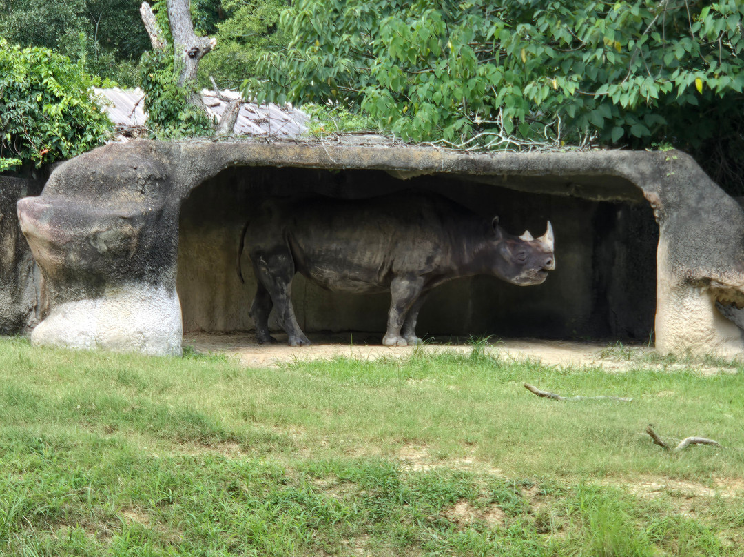 Baton Rouge Zoo-巴吞鲁日必去景点