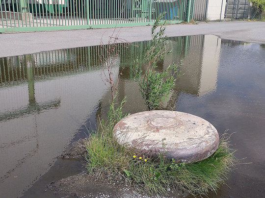 Banter See-威廉港必去景点