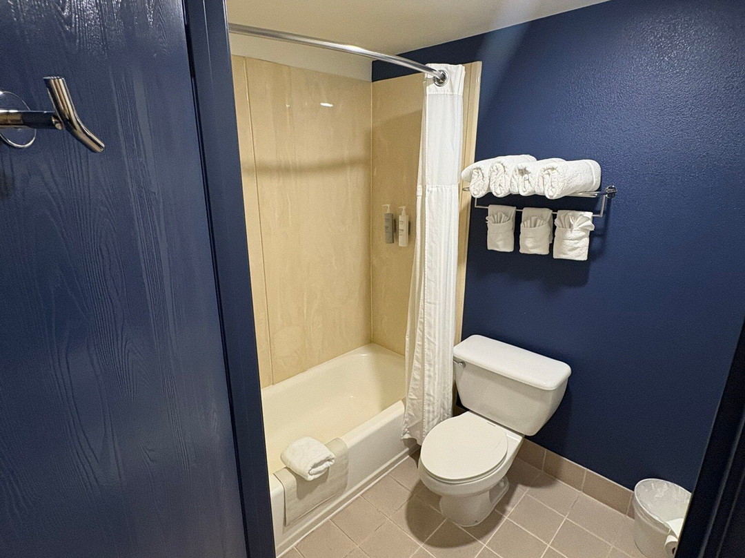 Spark By Hilton Williams主图