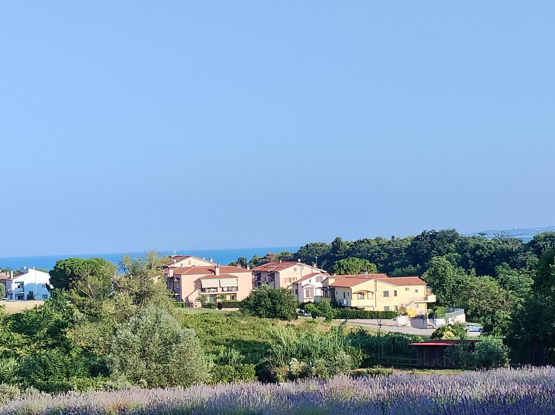 Borgo Rosso B&B Country House主图