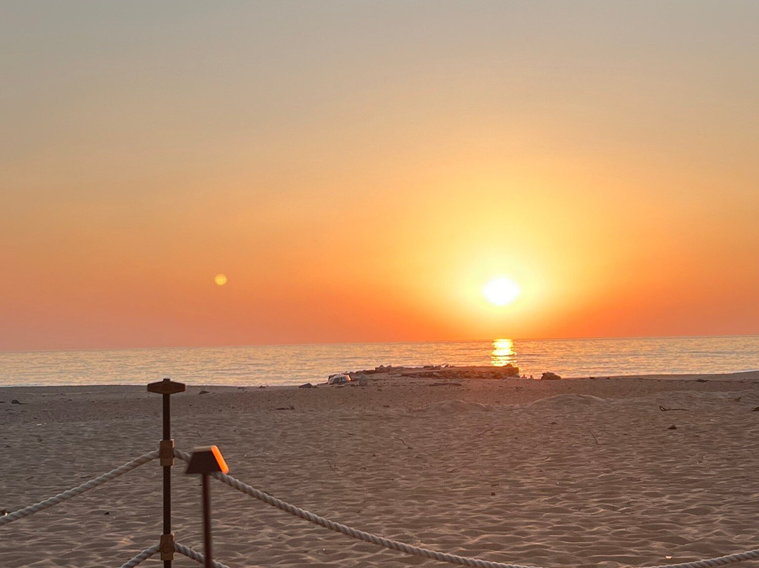 Hotel Le Dune Piscinas主图