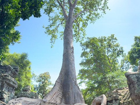 Authentic Food Tours : Southeast Asia Bites and Activities-金边必去景点