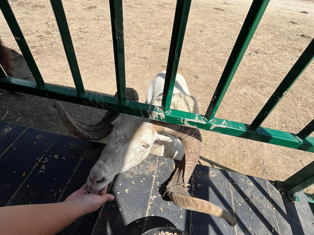 Aikman Wildlife Adventure-Arcola必去景点