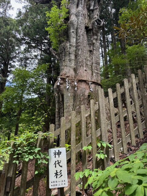 Tamaki Shrine-十津川村必去景点