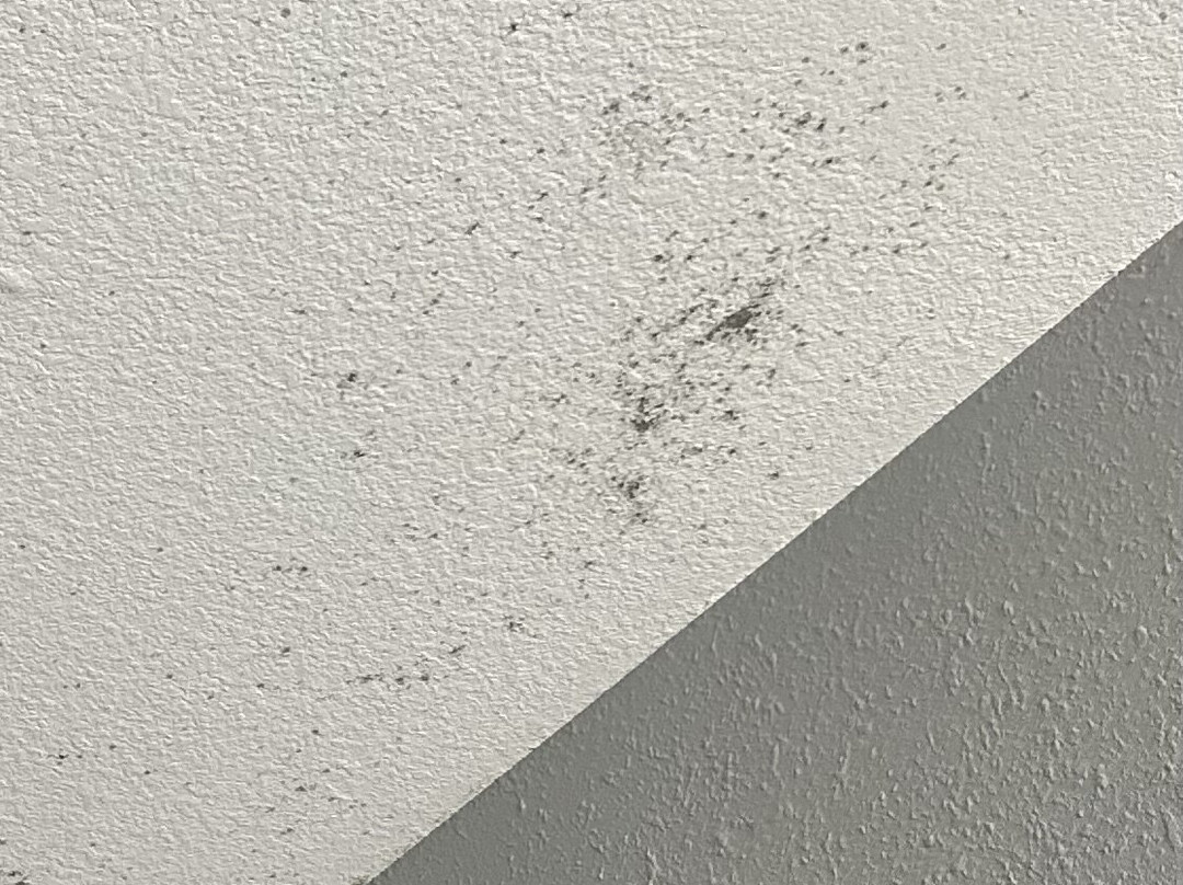 Best Western Executive Inn主图