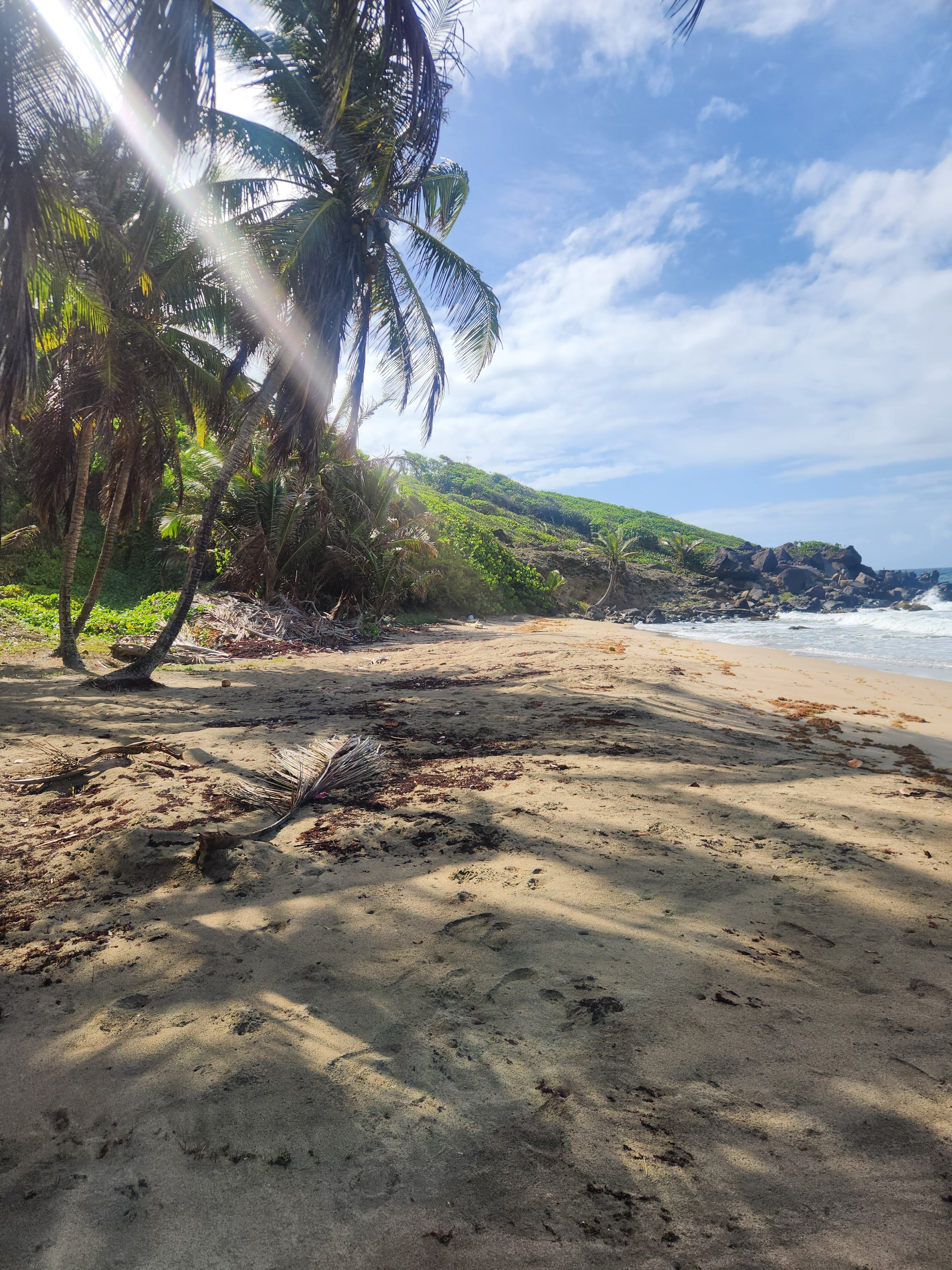 Petite Anse Hotel-泳池