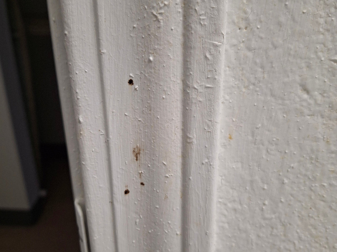 Suburban Studio主图