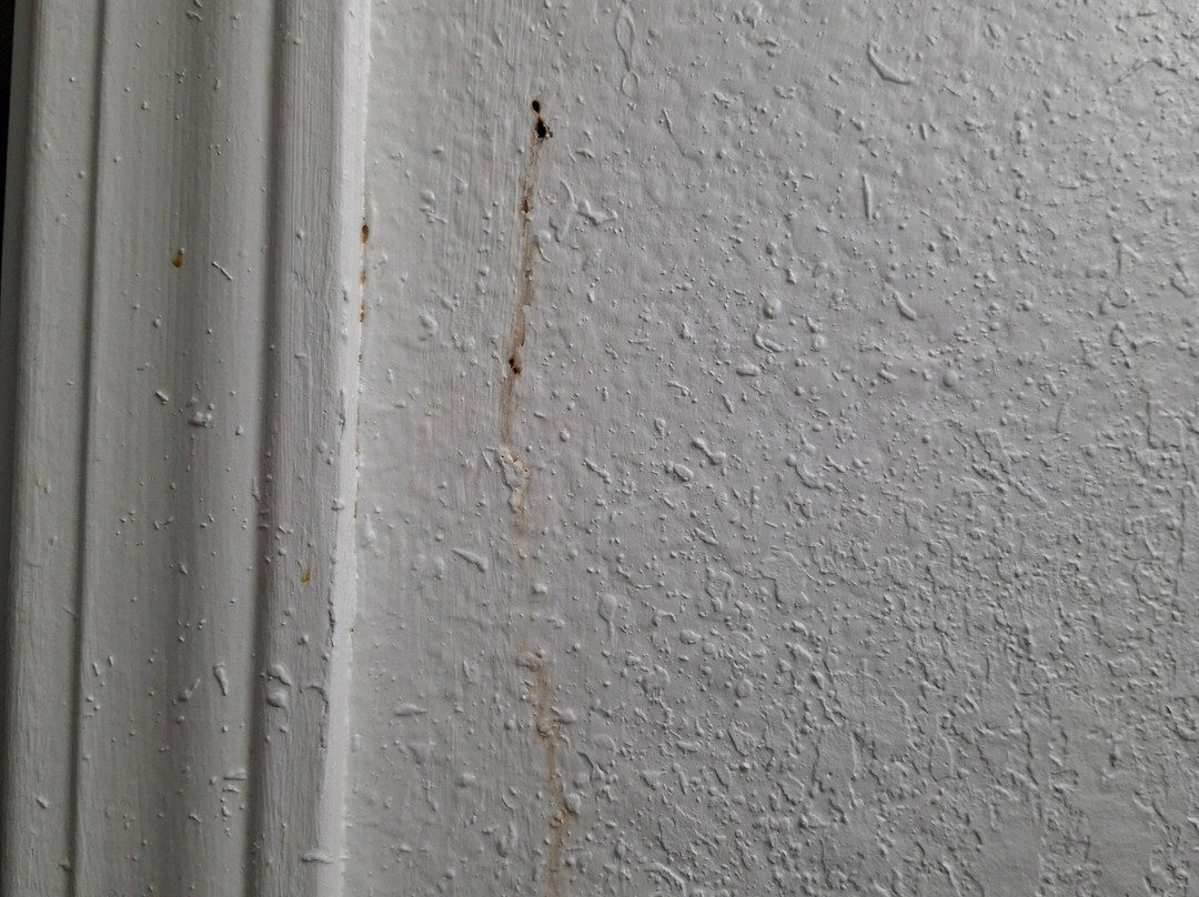 Suburban Studio主图