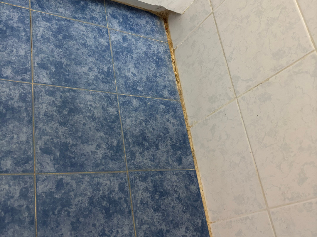 Dedalos Beach Hotel主图